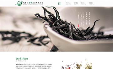 自貢黑羽網(wǎng)絡網(wǎng)頁制作案例- 峨眉山蕊馨實業(yè)有限公司